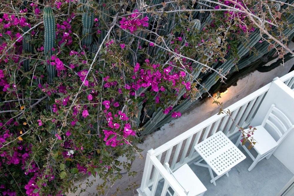 Fresh Boutique Hotel Mykonos Town Екстер'єр фото