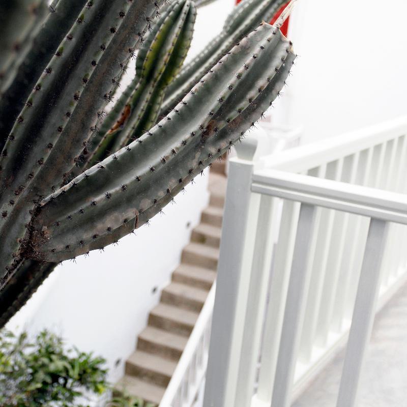 Fresh Boutique Hotel Mykonos Town Екстер'єр фото